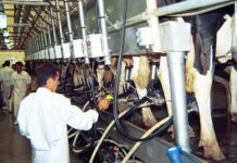 Una multinacional francesa dueña de dos marcas emblemáticas cierra una planta en Santa Fe