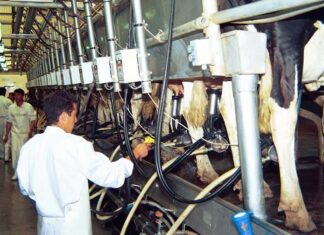 Una multinacional francesa dueña de dos marcas emblemáticas cierra una planta en Santa Fe